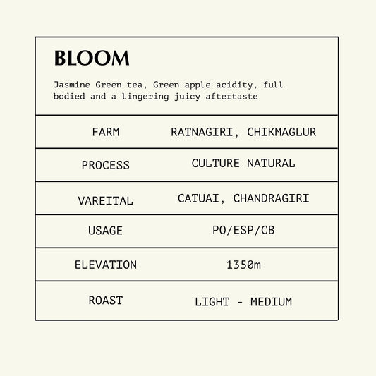 Bloom [Jasmine Coffee]